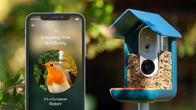 Die 5 Besten Kameras Für Vogelhäuschen